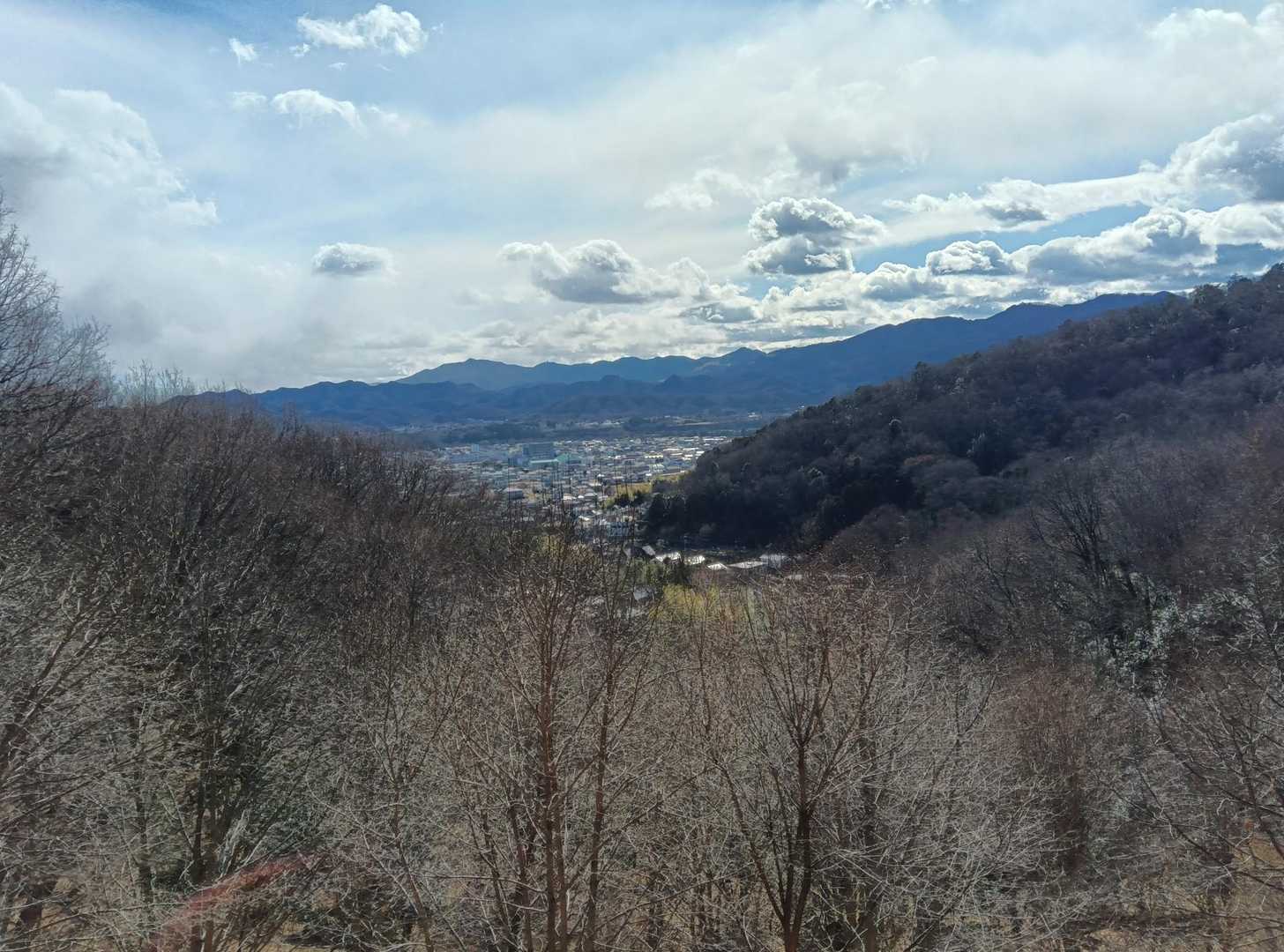 八幡山-鐘撞堂山 往復コースの写真