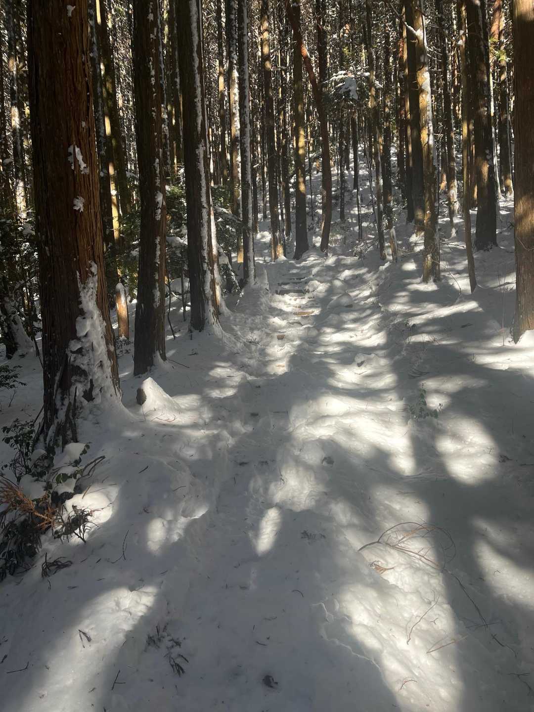 雪が少しずつ深くなってきたな👀✨