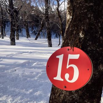 ⑮番到着〜
今日は目的達成の為に…
三光の宮に寄らず…！
⑮番過ぎたら1208ピークを目指して冬道歩きます。