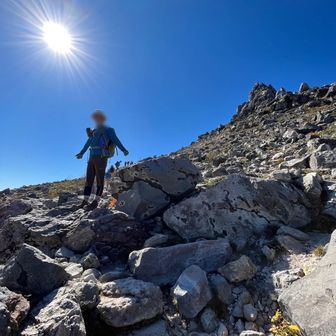 かずもとあおい