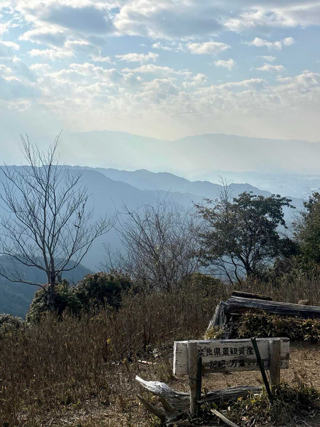 展望台‼️