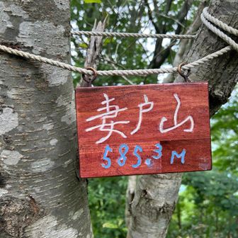 👹妻戸山⛰️🤺斬り進みました🫣
標識は何故か怒りの💢レッド😓