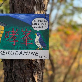 ラストに可愛い山頂標識があって達成感✌️
最後までご覧い頂きありがとうございました😊