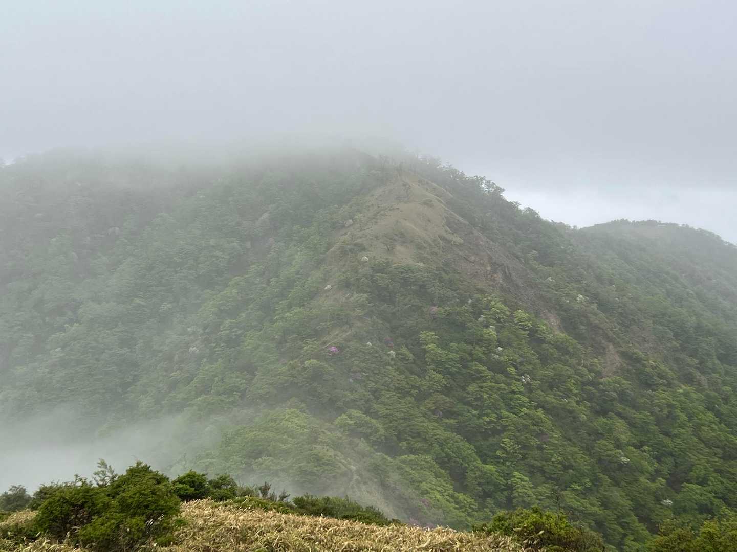 丹沢山のどっぷりとしたフィジカルの山容！
重い緞帳は1500m以上にまるでキレイな線を描くように存在していて、その下には薄いベールのように仄かにその全容を隠している。