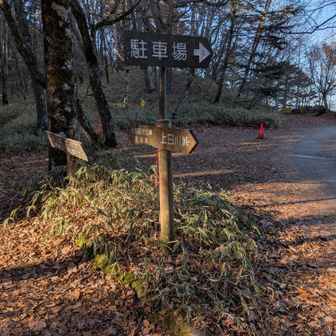 駐車場まで歩いて