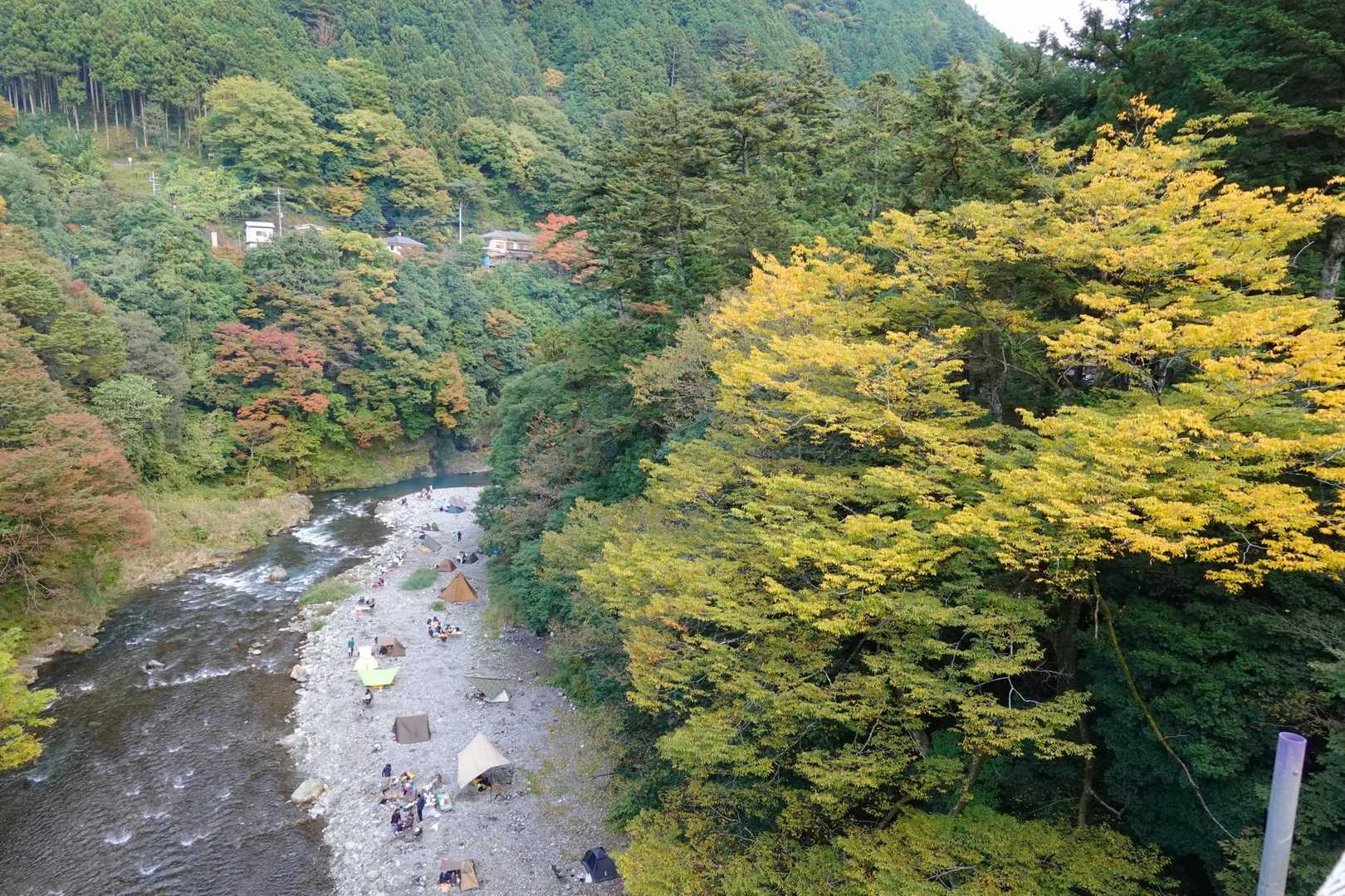 ついでに下流側も見ながら・・・