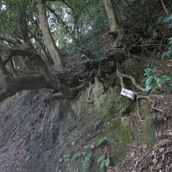 落石注意 のようです