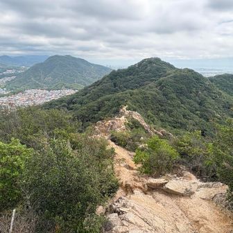 六甲山系の岩って感じ…