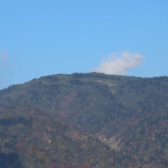 金山