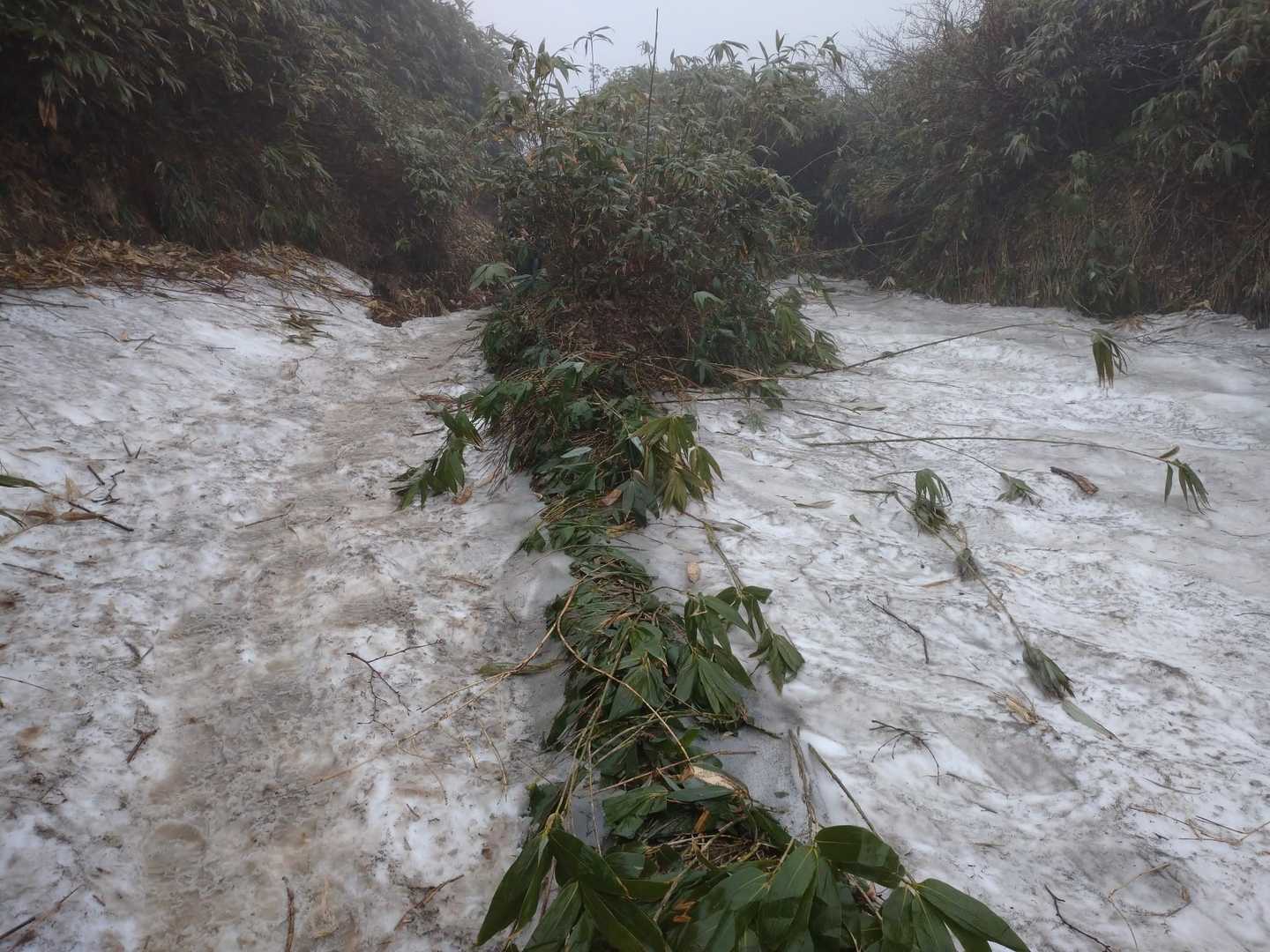 横岳 往復コースの写真
