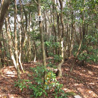 ここまで来ると、後はかなり楽ですね👍