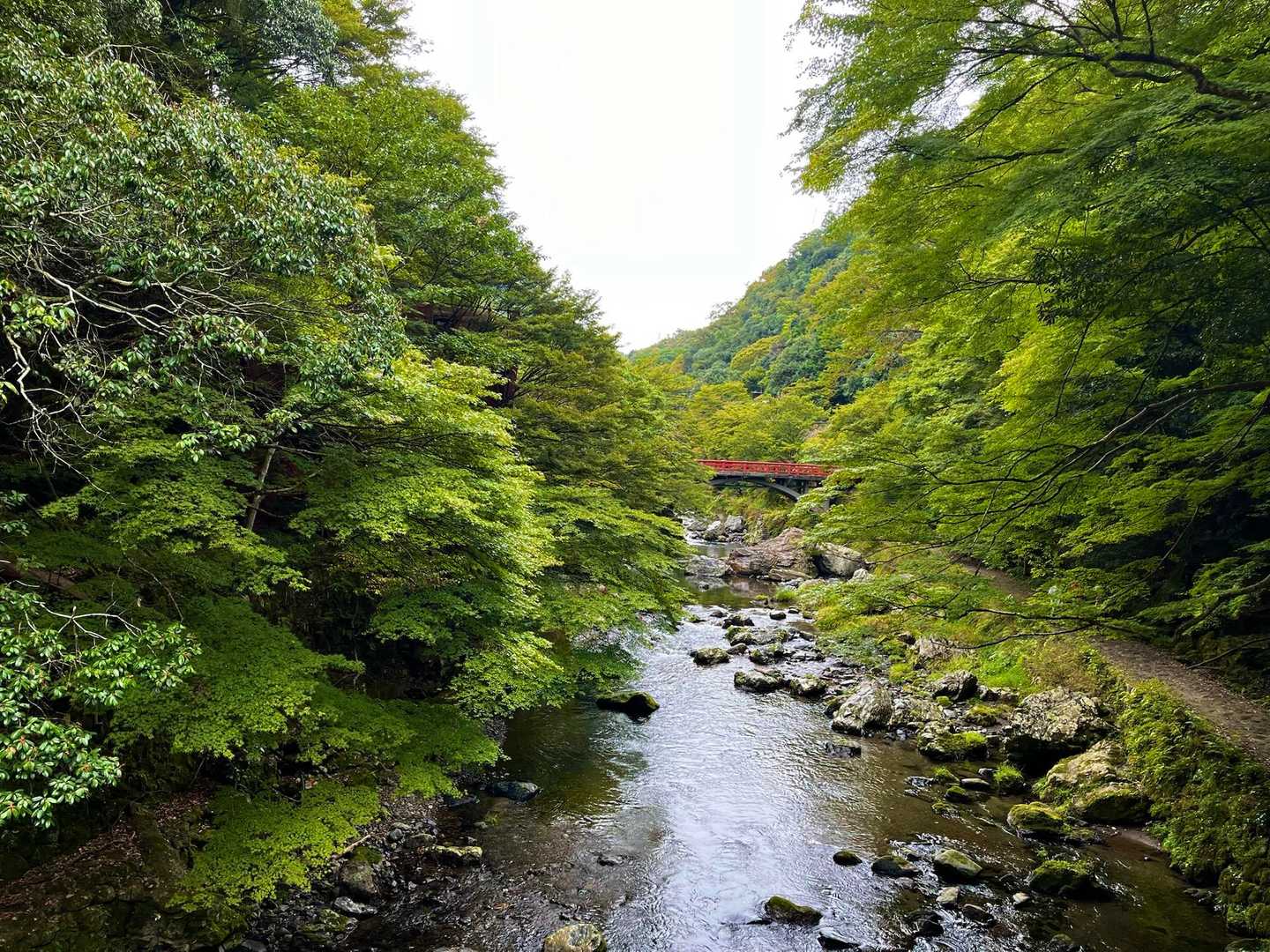 京見峠-上ノ水峠-仏栗峠-福ヶ谷林道登山口-白雲橋-槙ノ尾 縦走コースの写真