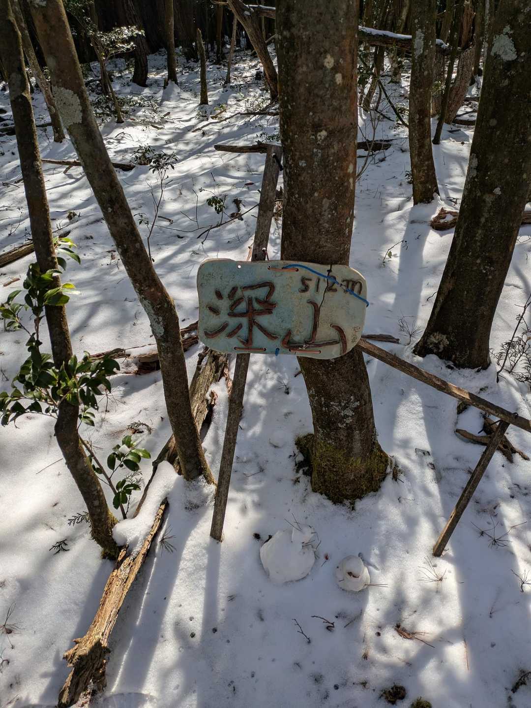 このあとの下山でも道迷い
何故かGPSが何処向かっても逆方向を指してしまう💦
再び道なき道を下山😅