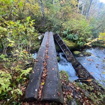 この橋、霜が降りててめっちゃ滑る💦