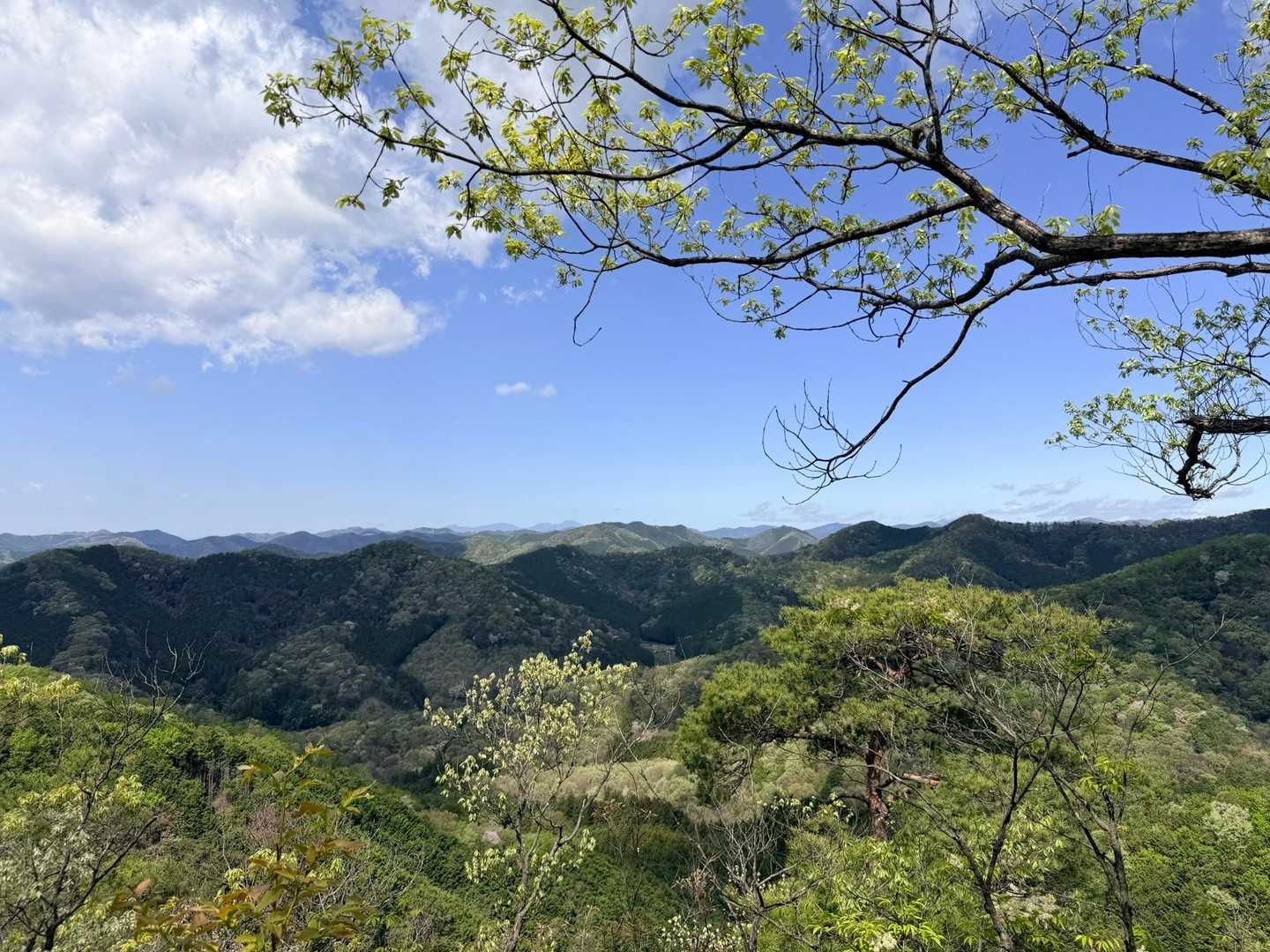 出尾根コース登山口-三床山-天ヶ岳-林山-金原山 周回コースの写真