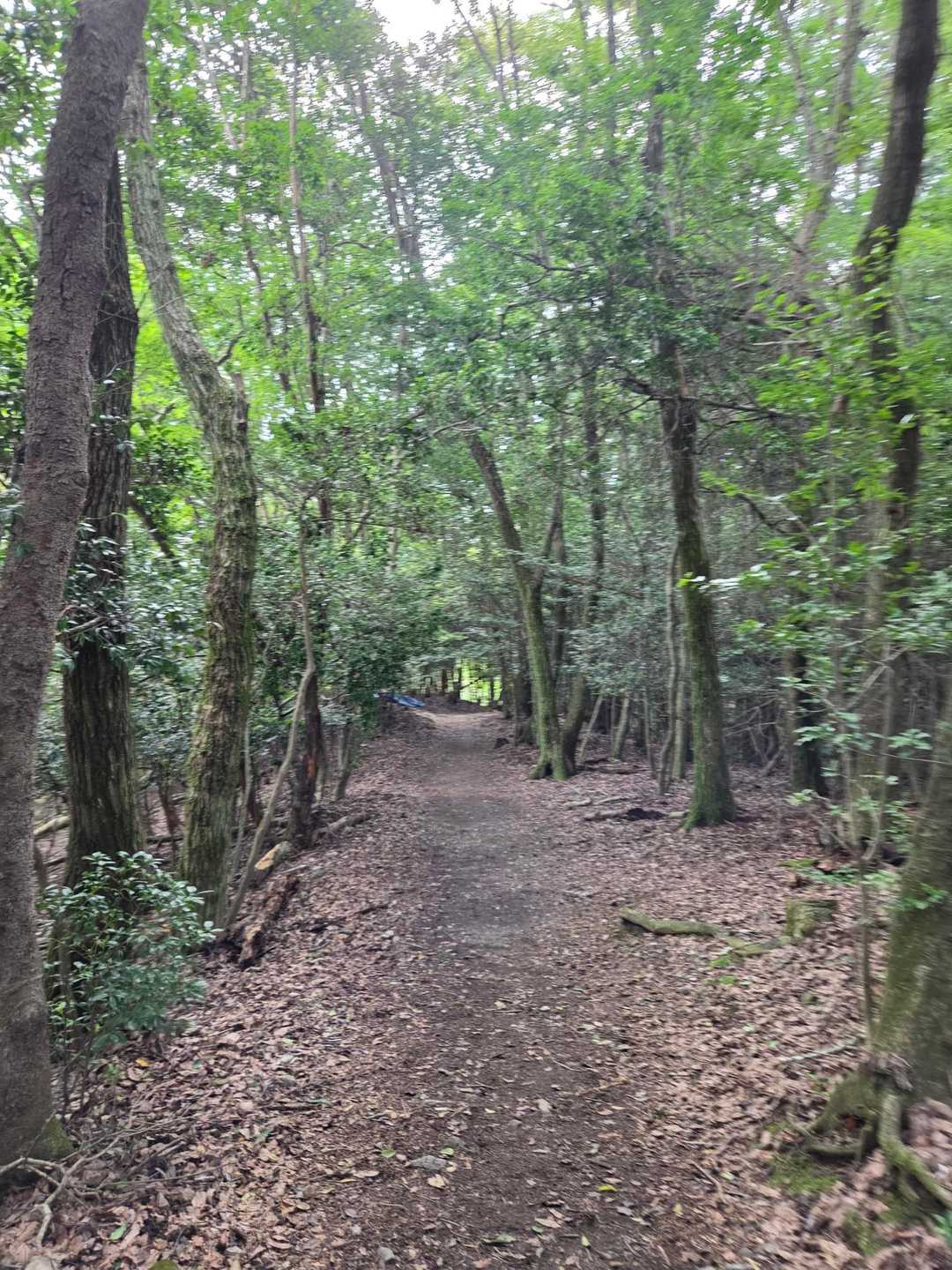 哲学の道-京都一周トレイル東山48番登山口-大文字山-如意 縦走コースの写真