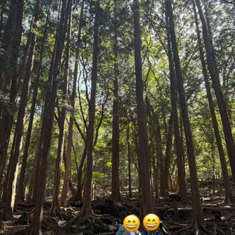 上がったテンションのまましばらく歩いて指山分岐のベンチで休憩