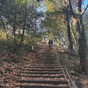 また階段。数えてる