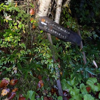 早朝だと見落としやすい位置に看板があります