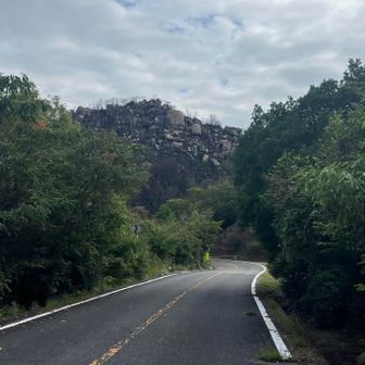 道路歩いて三頂山へ。真っ黒！