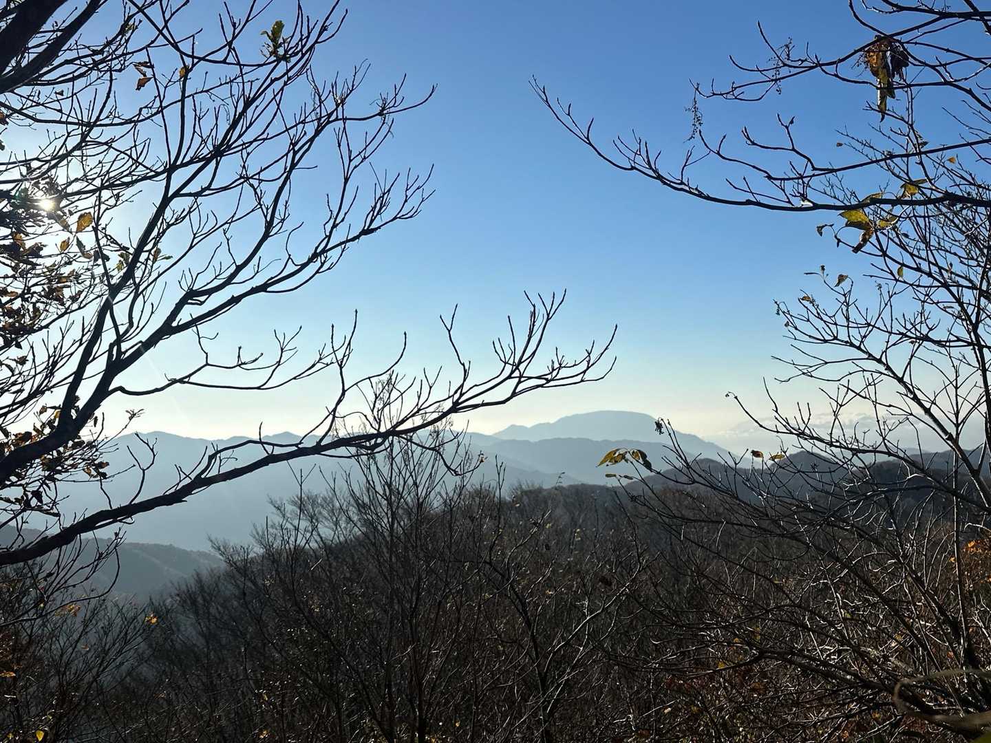 ちょっと隙間から👀
伊吹山かなぁ⁉️
