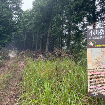 テンヤボ登山口には
縦列したら10台ぐらいの駐車場あります。