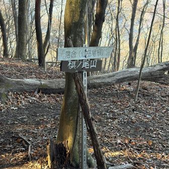 最後のピークと思ったら　槇ノ尾山だった。
次が棒ノ折山。