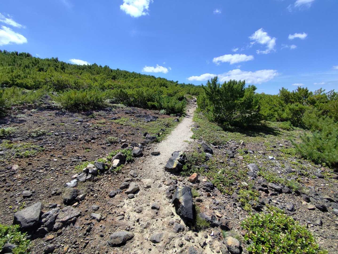上ホロカメットク山-十勝岳 縦走コースの写真