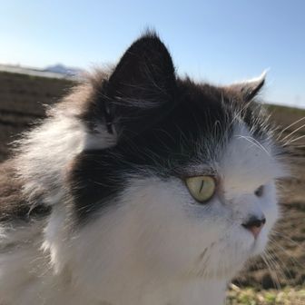 ゆう
