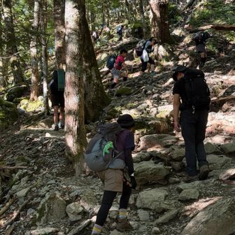 初っ端から急登やん