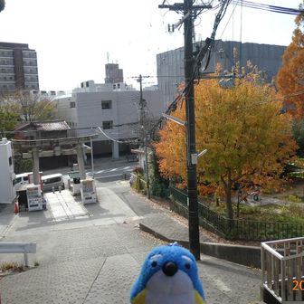 大好きなルリビタキ♂さんに会えませんでしたが、涼しくて気持ち良く歩けました😄