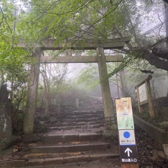 登っていく〜