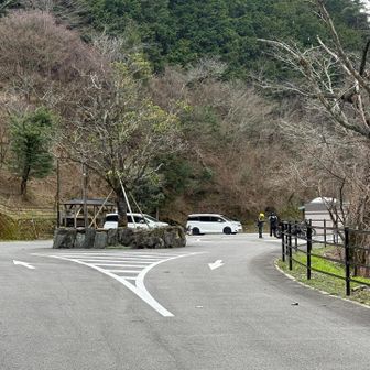 無事ゴールし、四国卒業。
お休み前半の山歩きはこれで終了し、明日、明後日は楽しみにしてた高知の植物園へ