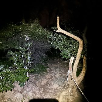 最初はそれなりの登り