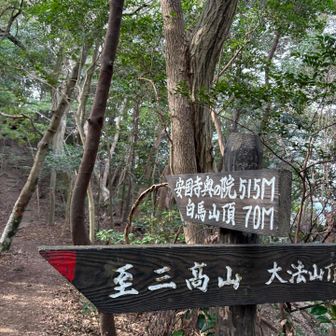 分岐も案内板🪧に従えば間違いがなく安心