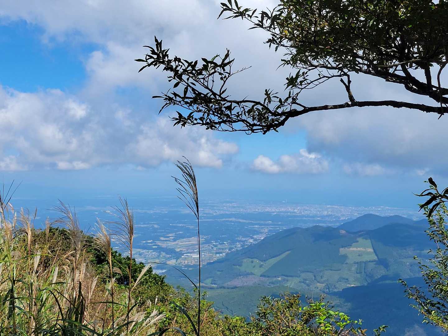 鰐塚山 往復コースの写真