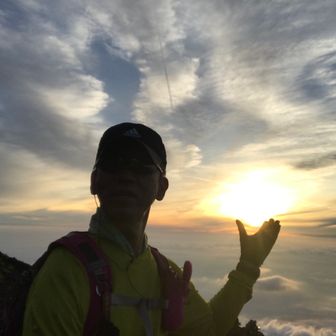 たどつほっとけ