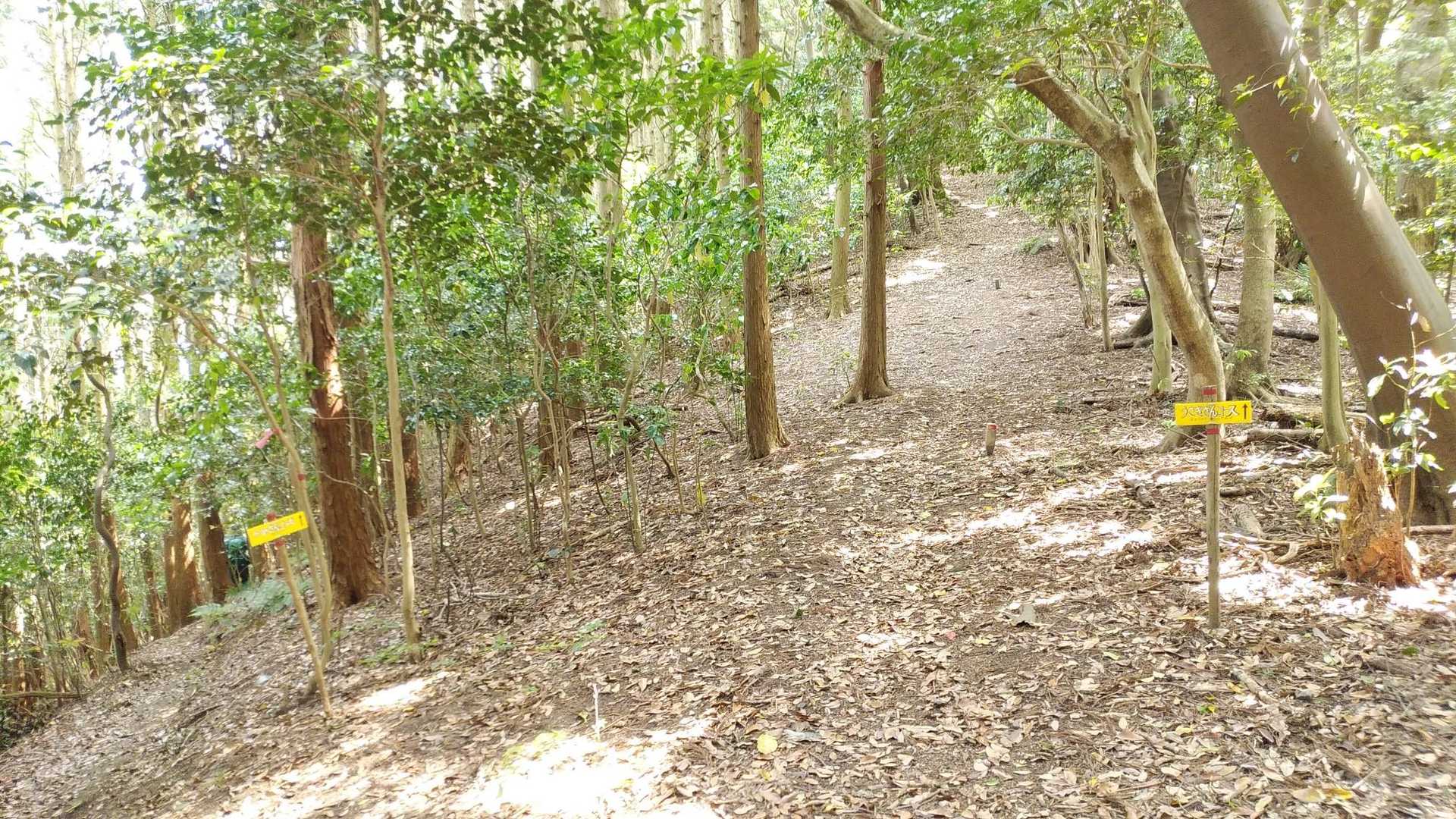 【うさぎさんorかめさんコースの別れ道】
別れ道は３ヶ所
登山口と最初の別れ道の間に椅子あり
頂上までに椅子は２ヶ所です。
