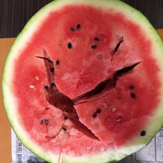 カガヤキジャパンベイベー