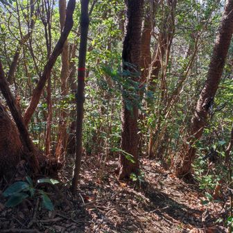 そうでした。上がって来た所。

ここを降りる人にとっては降り口。ご参考に。