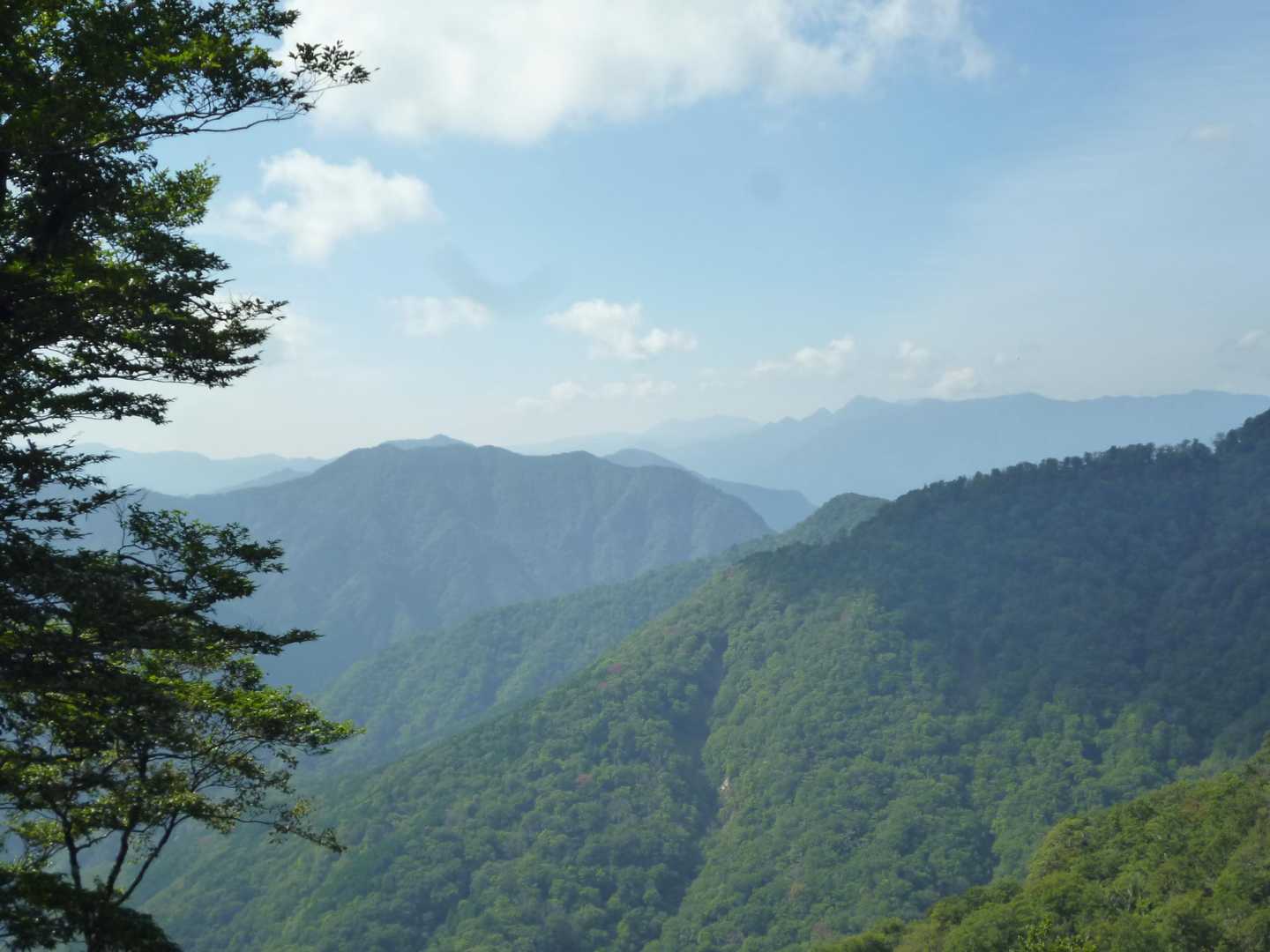 大普賢岳を見て何となく方角が…
左奥が白鬚かな😉