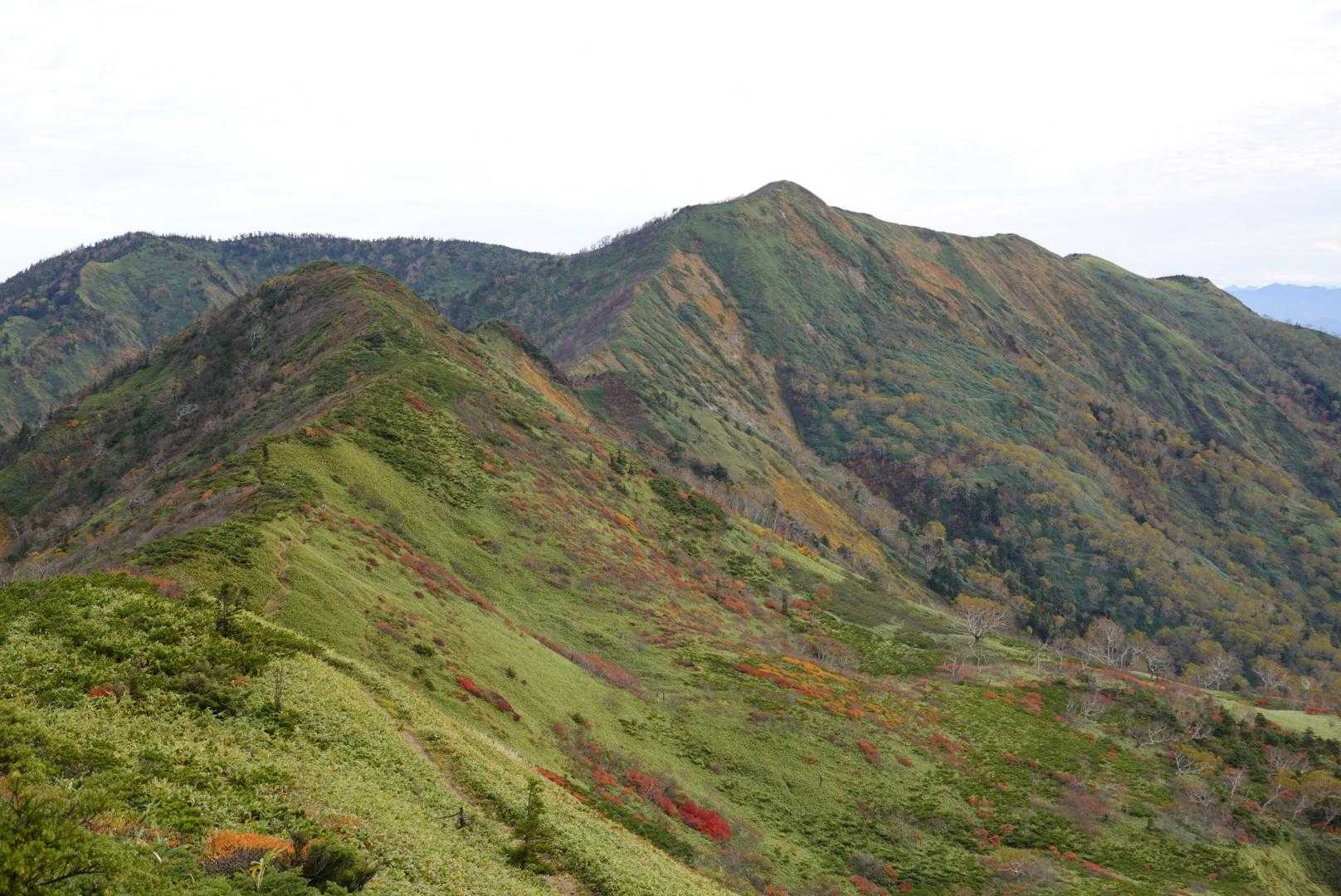 うおおお！！