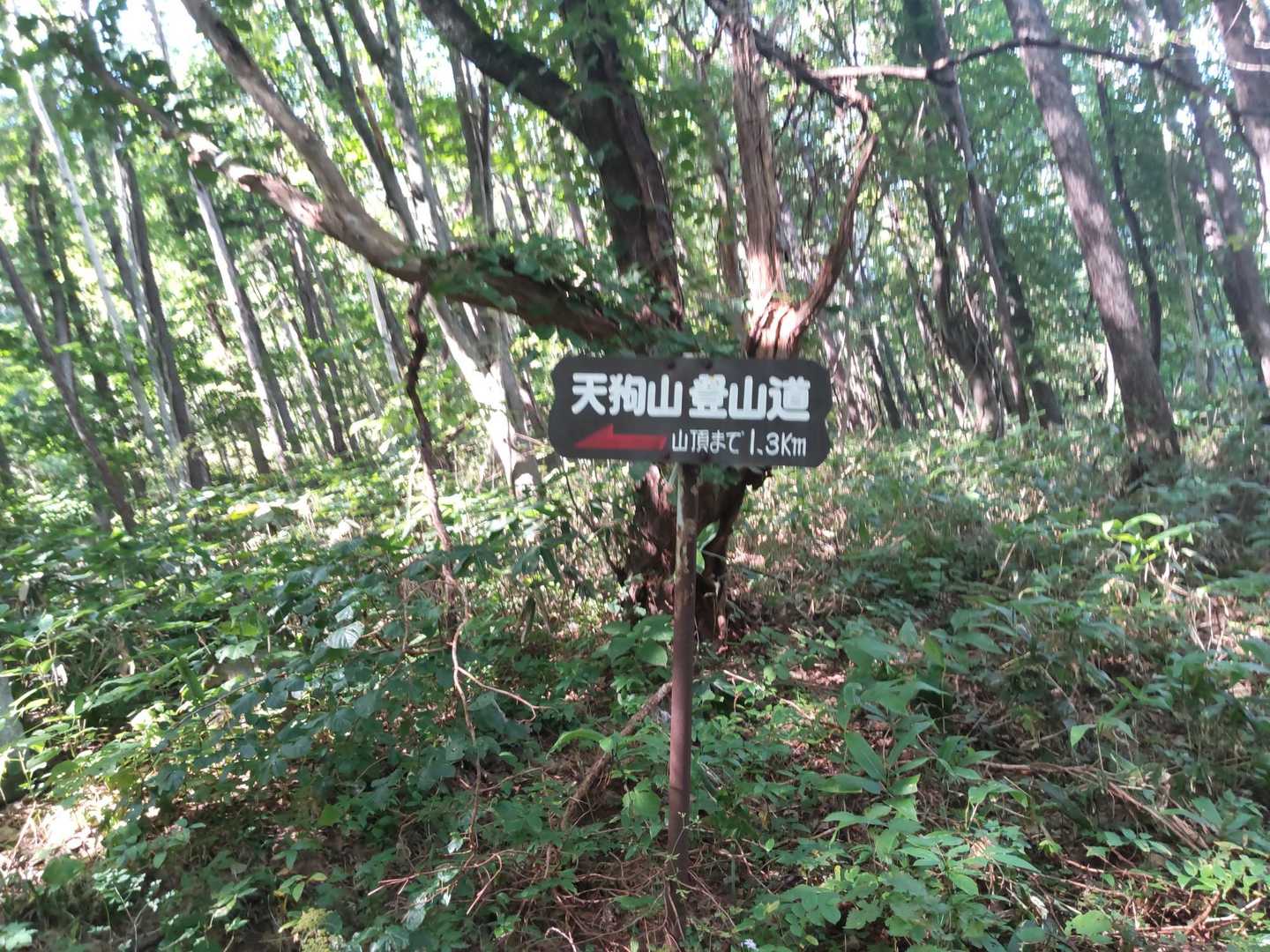 あと1.3kmでーす😄