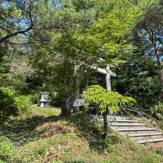 14時半いちばん暑い。もう滝汗だし...
虫にまとわれながら参る...