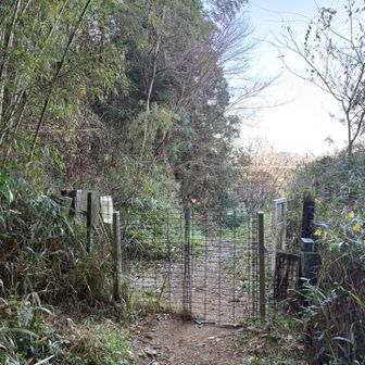 戻りました〜
続いては嶽山へ