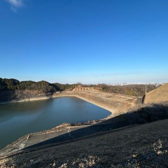 城山湖展望台にて
城山湖だけでなく遠くに街並みも見えます。
この付近には牡龍籠山と雌龍籠山という2つの山があり、それぞれ登ってみましたが、眺望はどちらも良くありませんでした🙅

⚠️注意点は、散策路でここまで来る場合、開場時間が9時〜16時半であるということ。それ以外の時間帯は、散策路は閉鎖しています。
