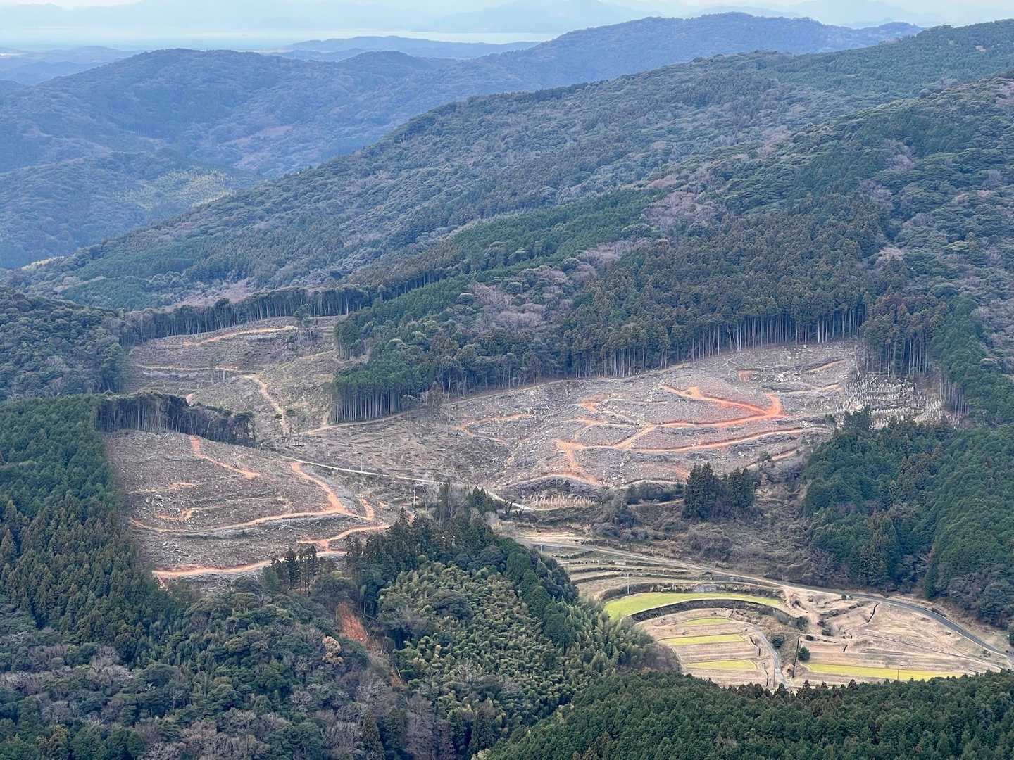 あっちもずいぶん伐採されてるなぁ
山が変化してる