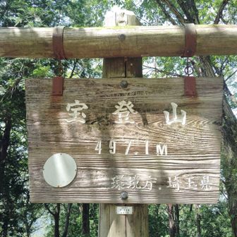 戻って長瀞アルプスコースへ