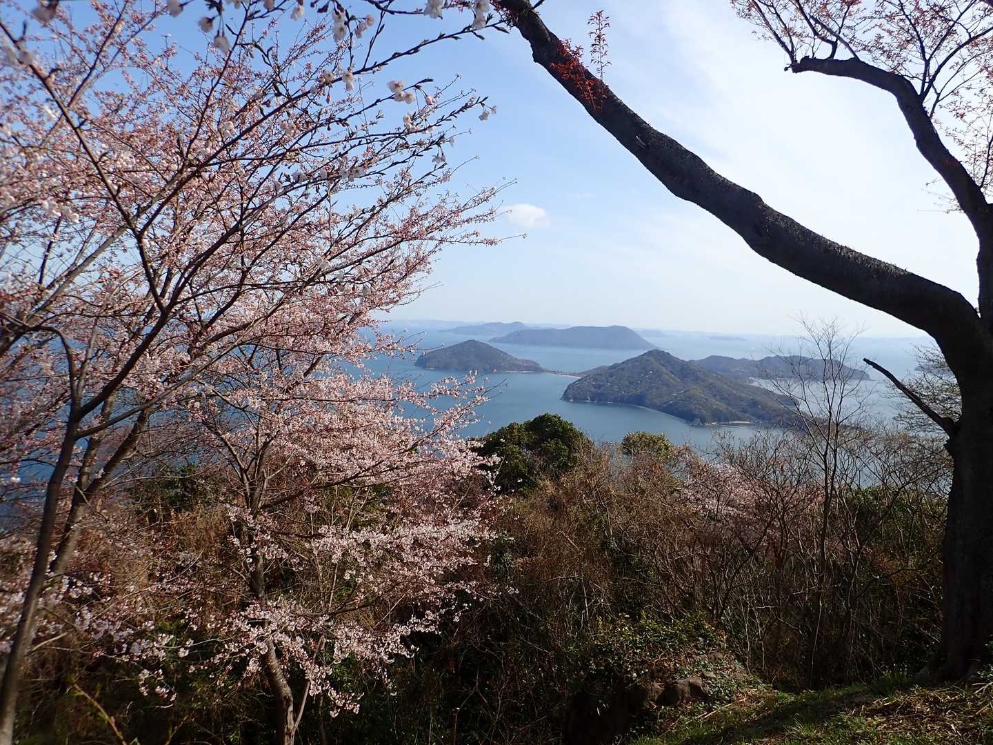 紫雲出山