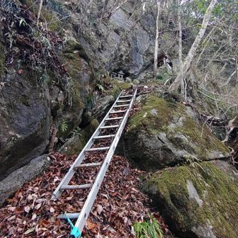 最初の鎖場(2段のはしご)を登ると次の鎖場(こちらにもはしごが設置されていた)
その先に阿留摩耶山大神が見える